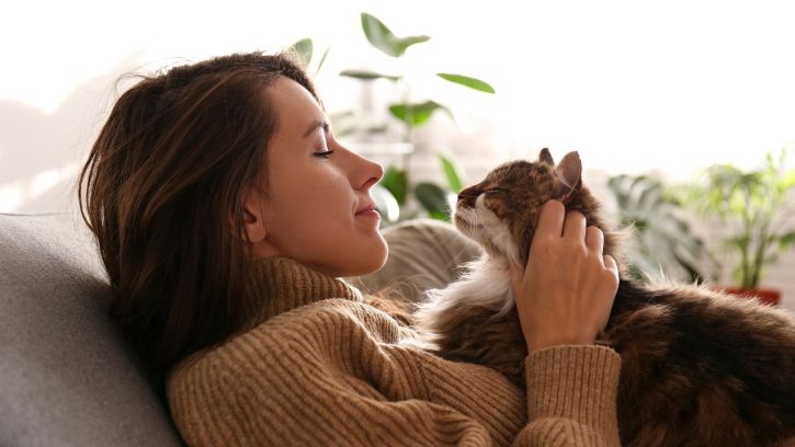 Home | Catty Service API